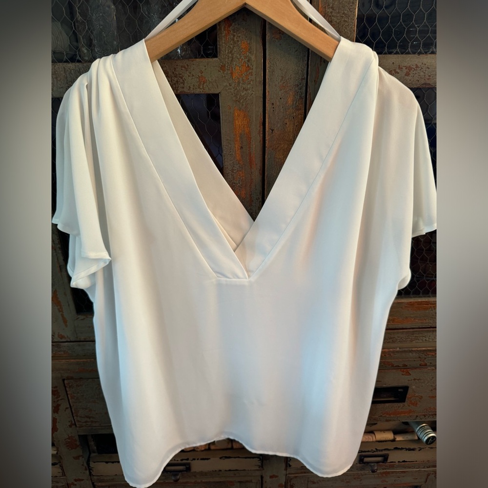 Babaton V neck blouse